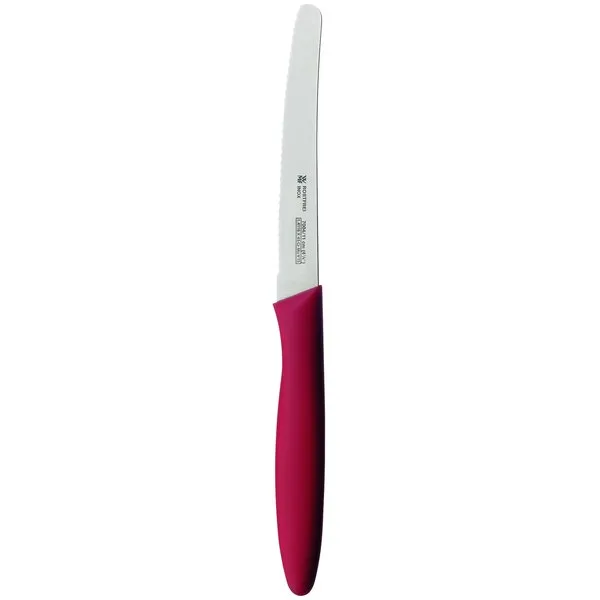 Snack Knife 10 Cm